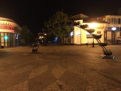 Прикрепленное изображение: IMG_9257.jpeg